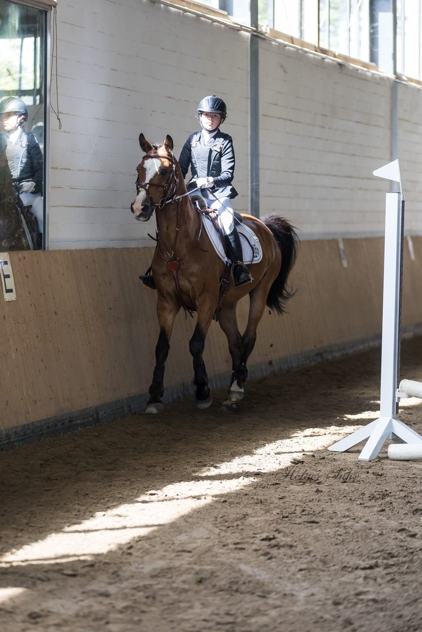 Bild 58 - Pony Akademie Turnier